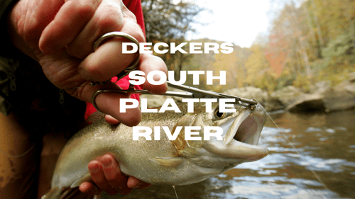 Colorado Stream Fly Fishing Reports (14)-1