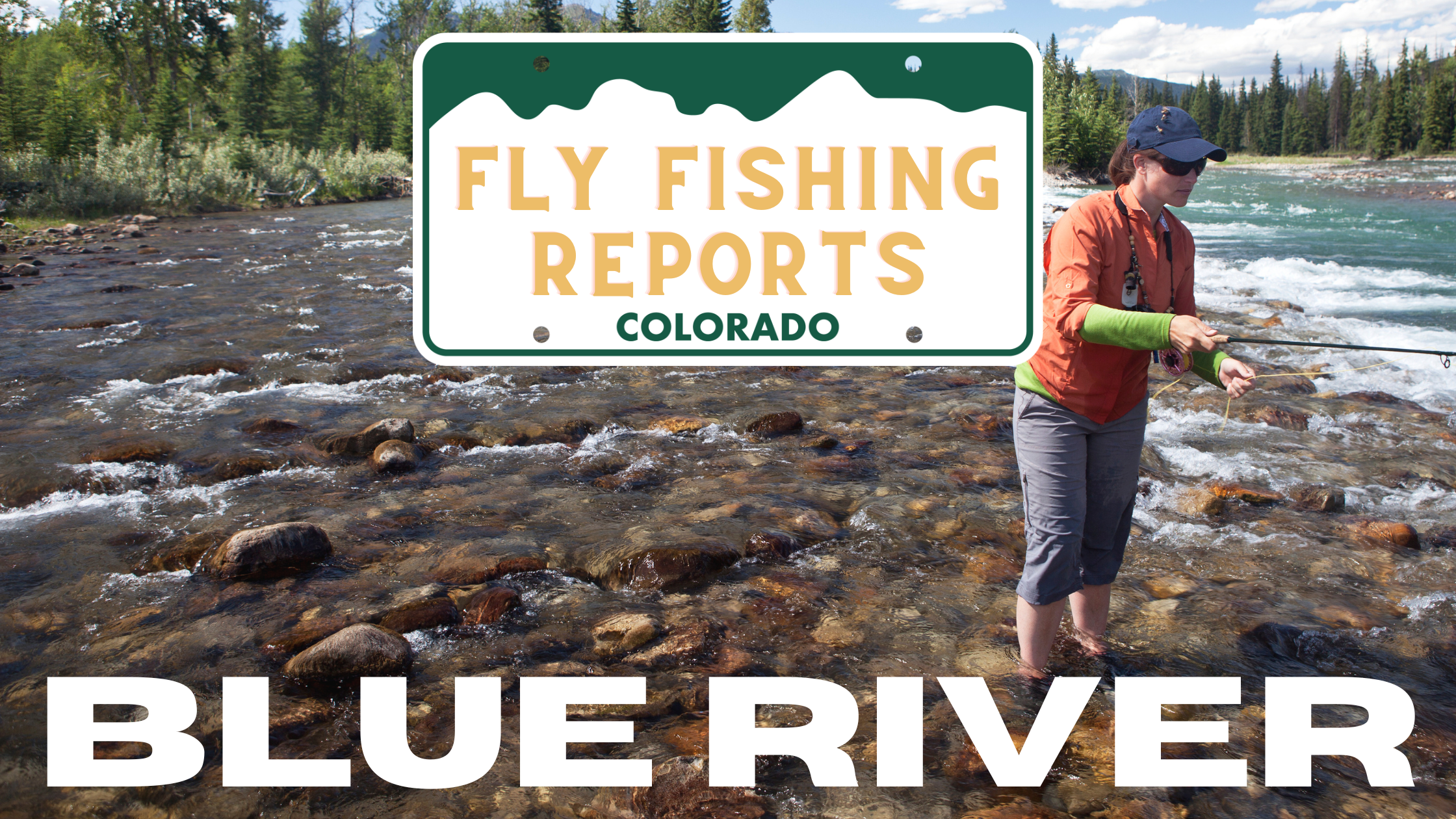 Colorado Stream Fly Fishing Reports (21)
