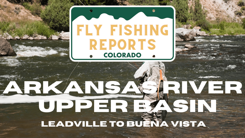 Colorado Stream Fly Fishing Reports (27)