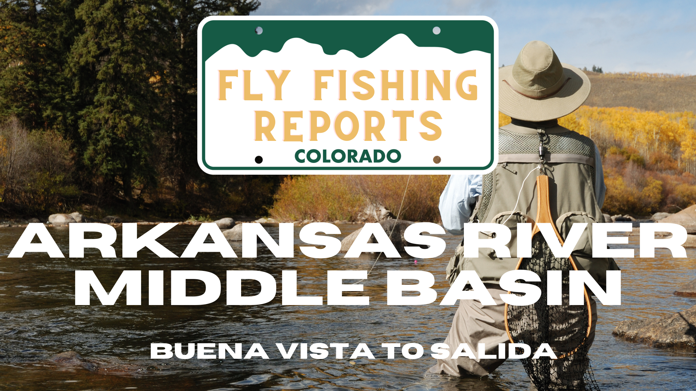 Brown trout caught in the Arkansas River near Buena Vista, Colorado, surrounded by lush vegetation and rocky terrain.