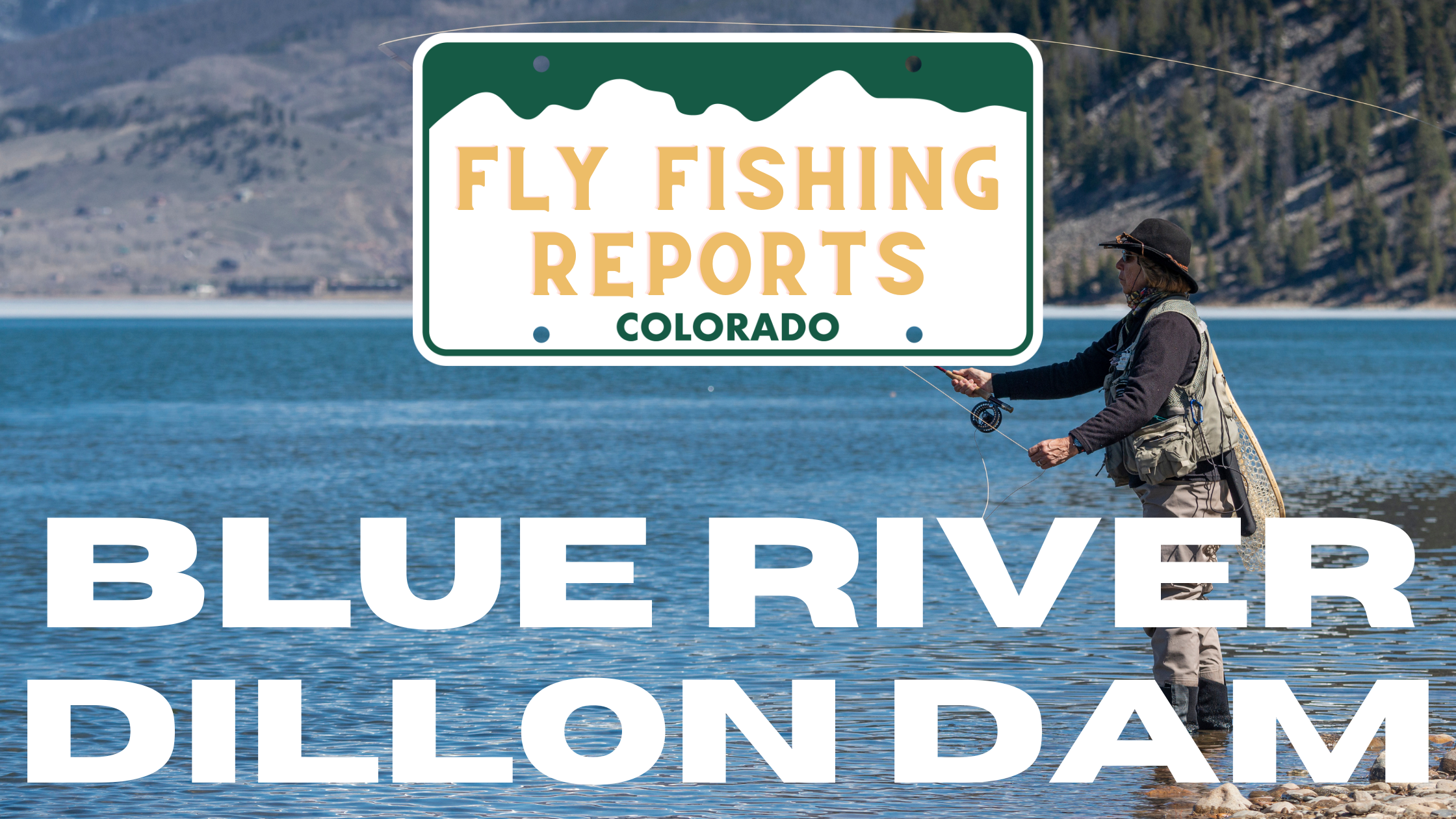 Colorado Stream Fly Fishing Reports (31)