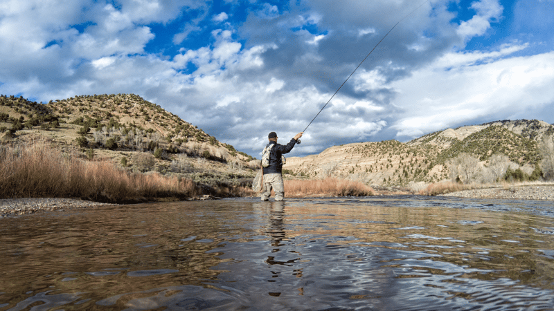 Colorado Stream Fly Fishing Reports (41)