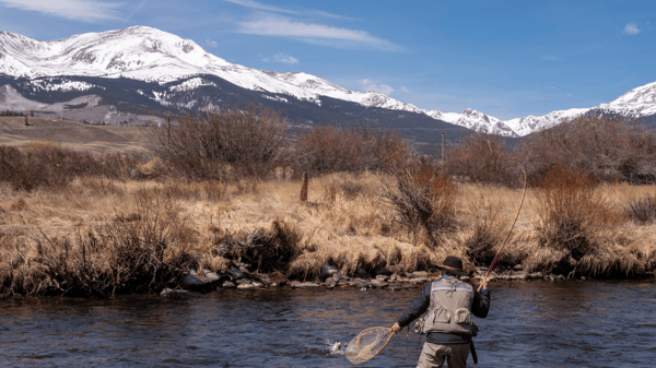 Colorado Stream Fly Fishing Reports (42)