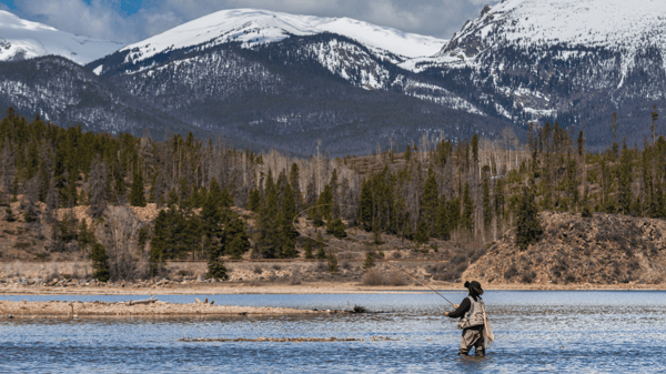 Colorado Stream Fly Fishing Reports (44)