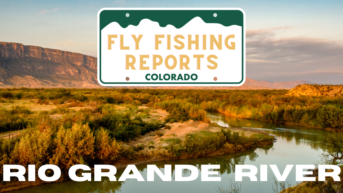 view of Rio Grande River near Creede, with clear water and autumn foliage