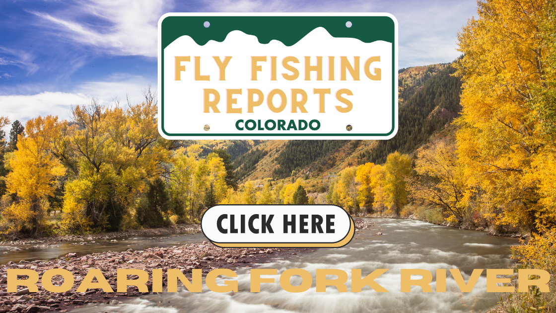 Colorado Stream Fly Fishing Reports (59)-1