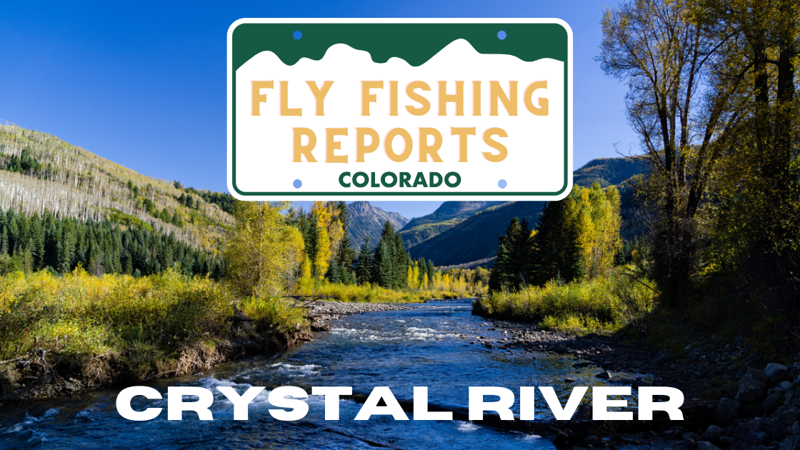 Fishing the Crystal River near Carbondale, Colorado, with clear water and mountainous terrain in the background.