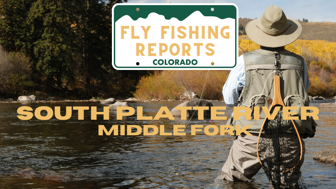 Colorado Stream Fly Fishing Reports (79)