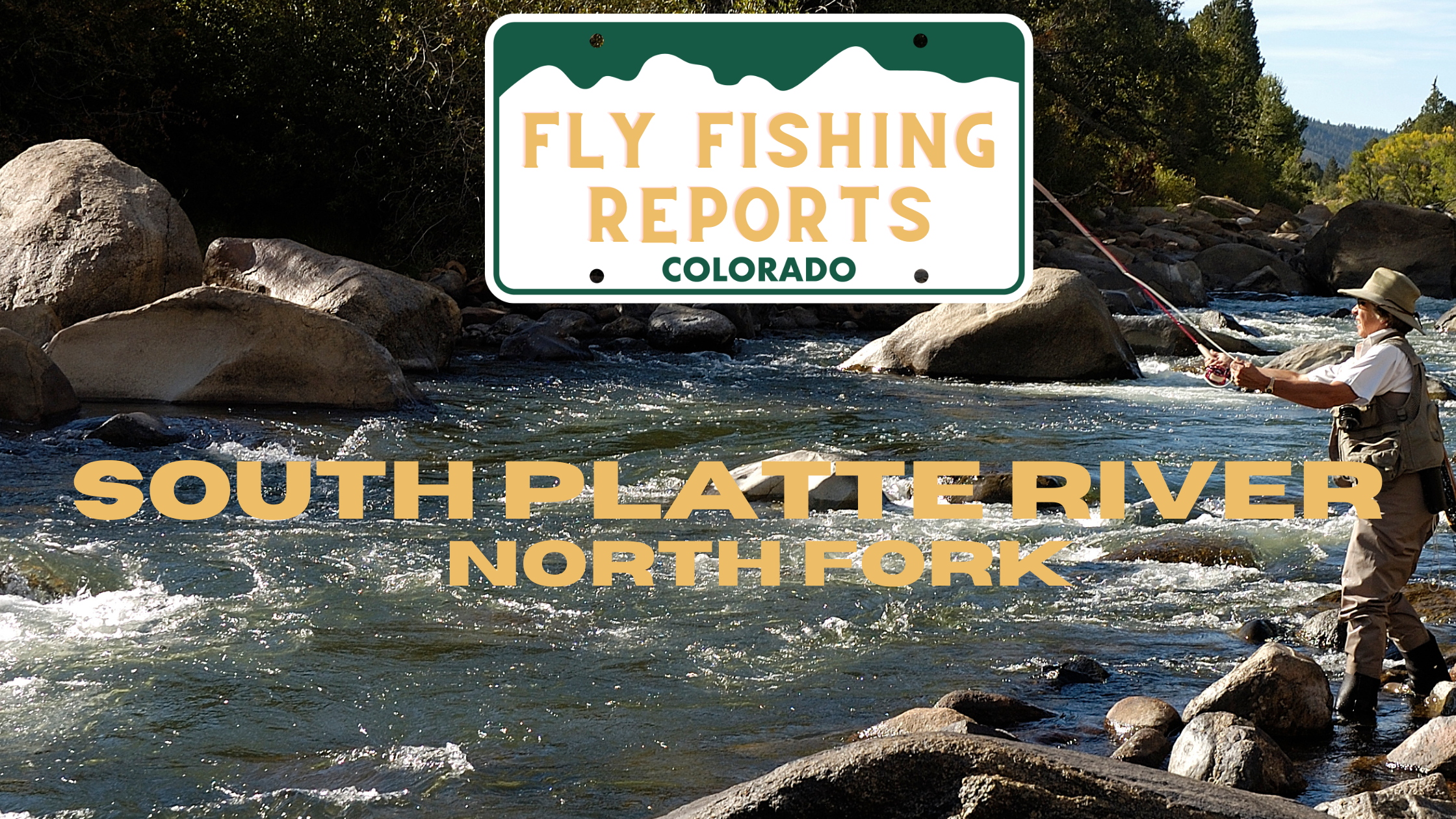 Colorado Stream Fly Fishing Reports (85)