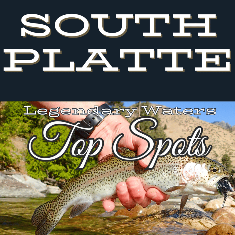 Colorado Stream Fly Fishing Reports 