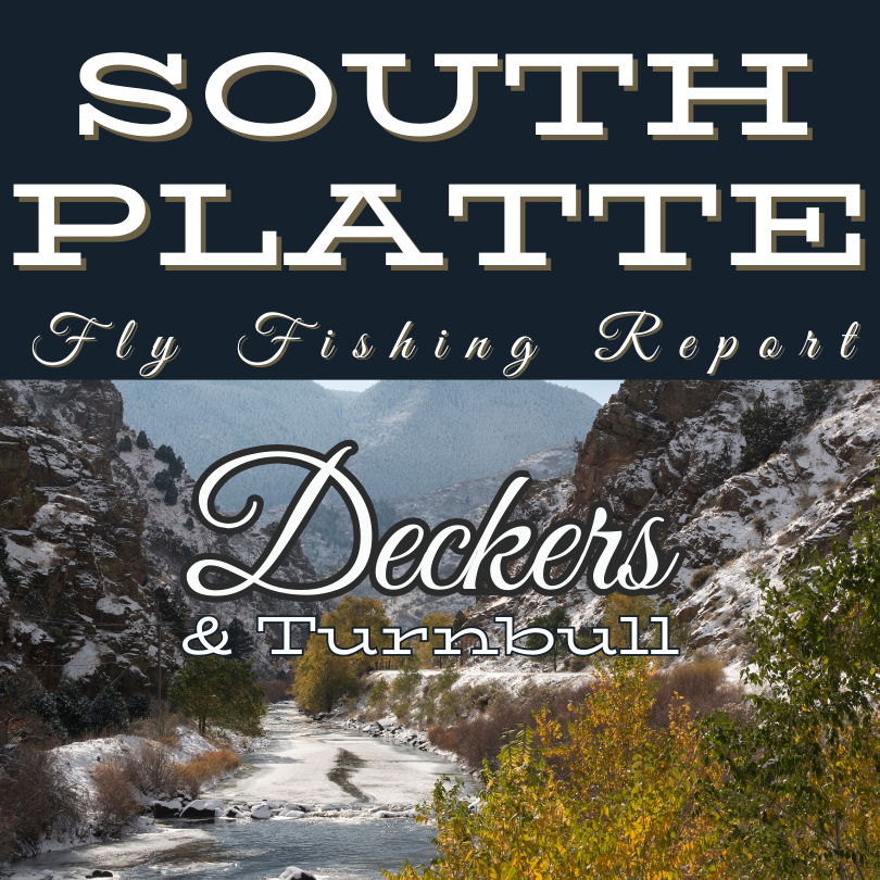 Deckers - Tranquil stretch of the South Platte River near Deckers surrounded by lush greenery-2