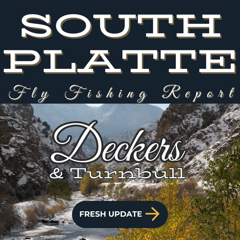 Deckers - Tranquil stretch of the South Platte River near Deckers surrounded by lush greenery