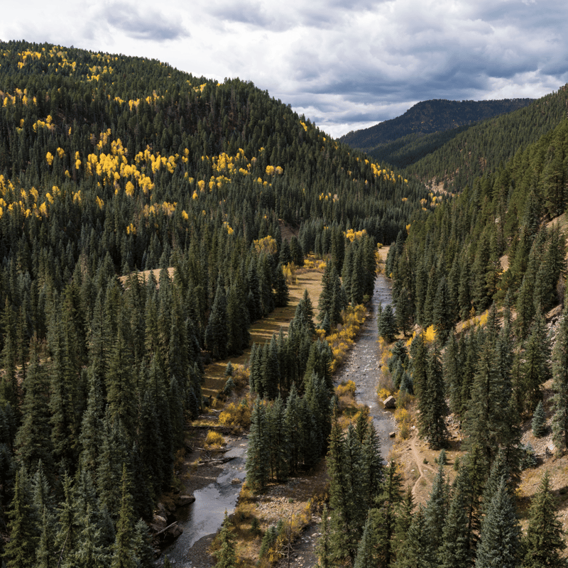 Expansive view of the Piedra River near Pagosa Springs, framed by forested slopes and rugged terrain, known for its secluded fly fishing opportunities