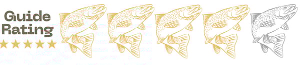 Guide Rating (800 x 175 px) (2)
