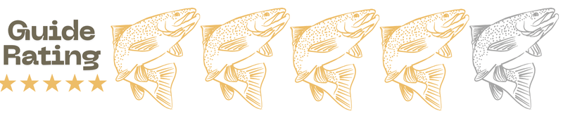 Fly fishing report for North Fork of the South Platte River. Learn about current conditions, fly patterns, and top fishing tactics for trophy-sized trout.