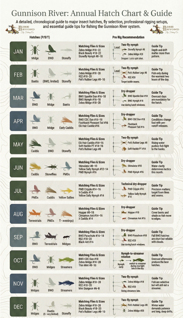 Gunnison River Angler’s Hatch and Rigging Chart