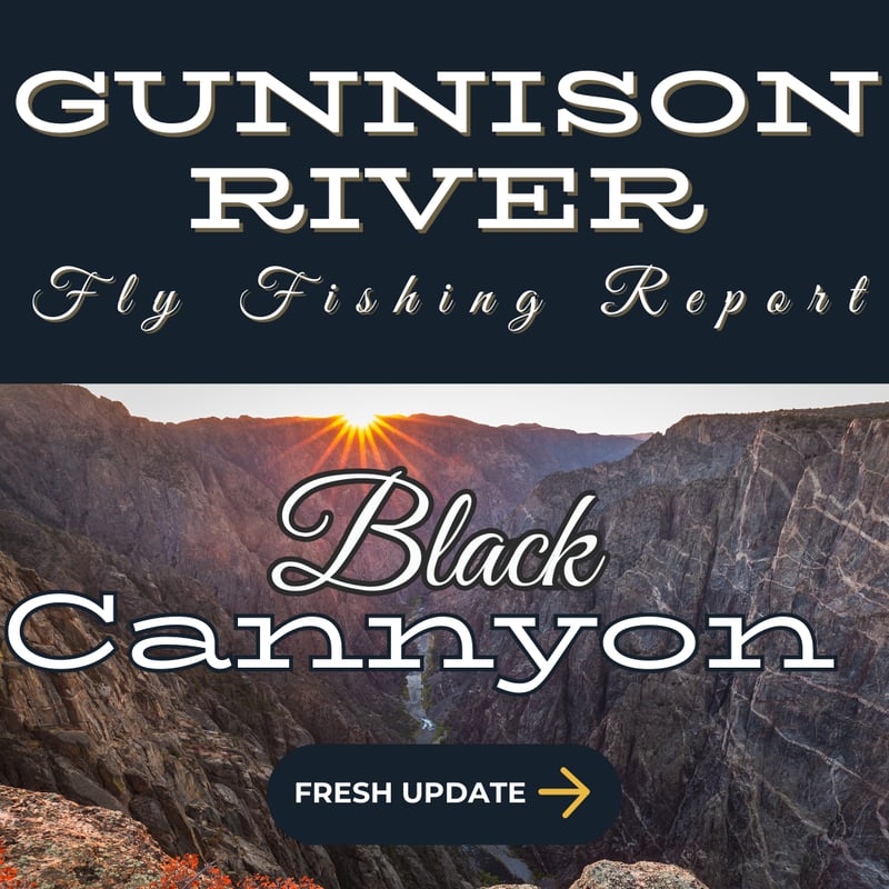 Gunnison River Near Gunnison - The Gunnison Rivers deep blue waters cutting through steep canyons