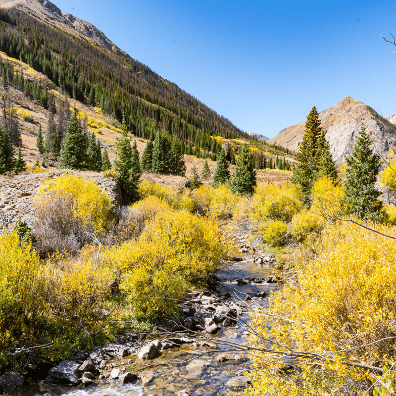 Panoramic view of the Piedra River valley near Pagosa Springs, Colorado, with rugged canyon walls and pine forest — a popular fly fishing destination for trout