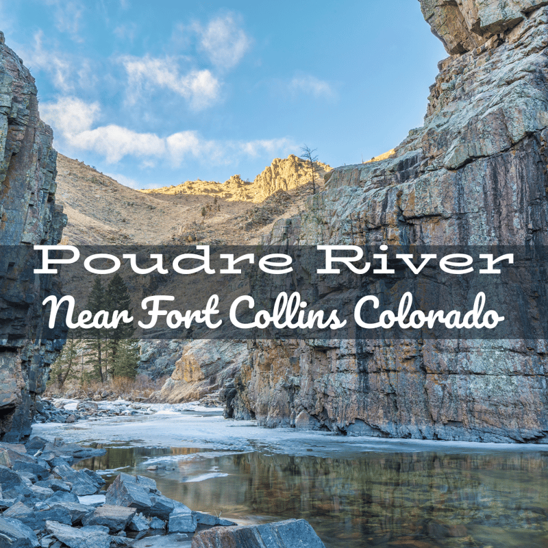 Poudre River Fly Fishing Report near Fort Collins Colorado 
