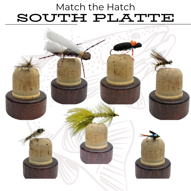 Grams Spring Fly In Best Flies for Spring Fly Fishing on the South Platte in Colorado