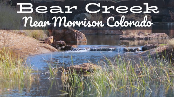 Bear Creek Fly Fishing Report Near Morrison Colorado