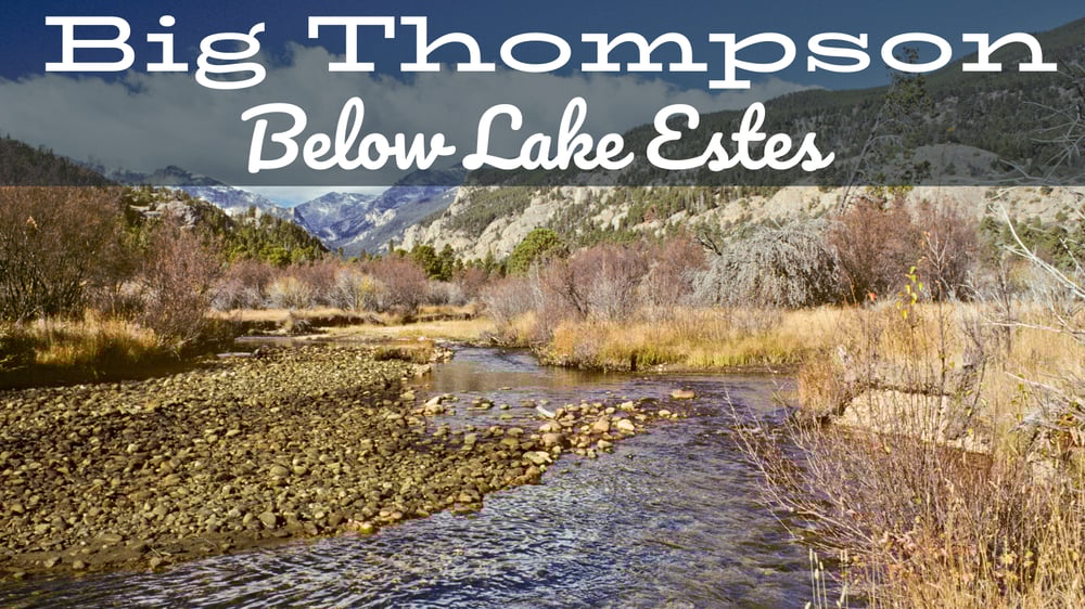 Big Thompson River fly fishing report