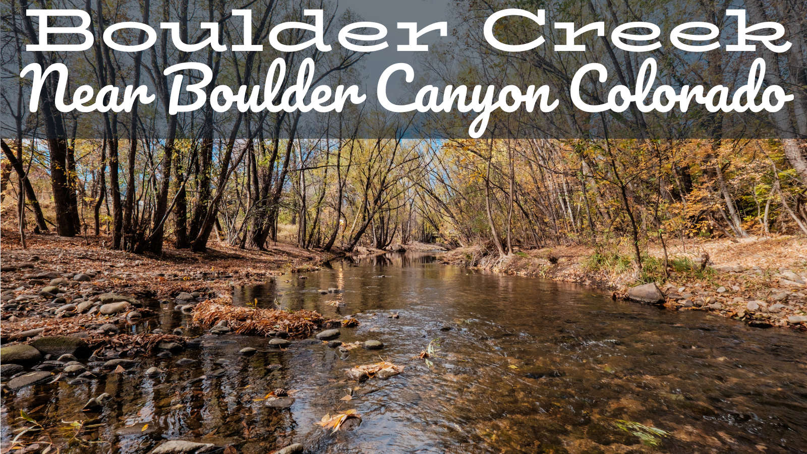 Boulder Creek Fly Fishing Report