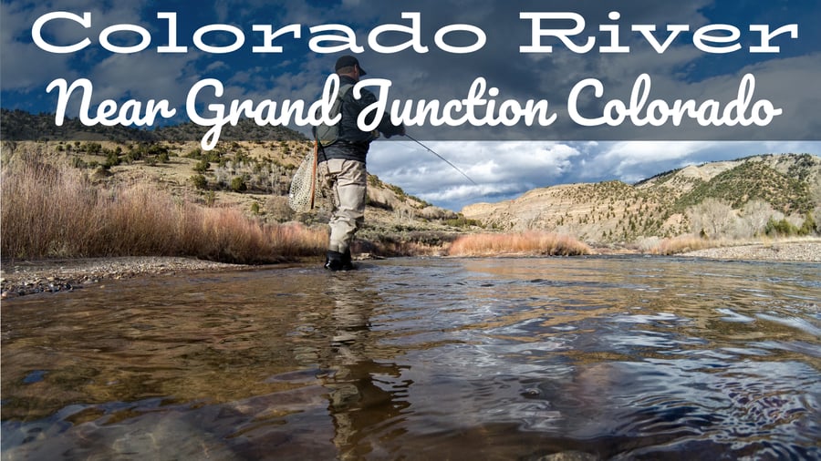 Colorado River Fly Fishing Report near Grand Junction