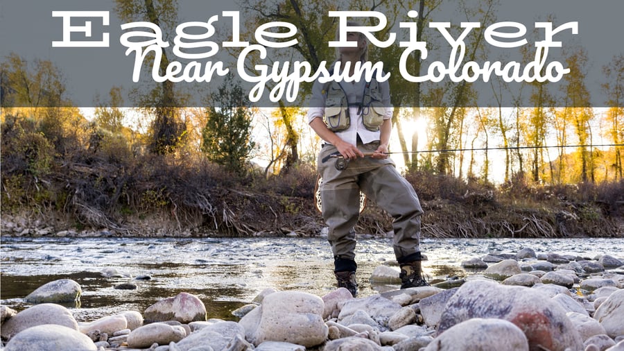 Eagle River Fly Fishing Report near Gypsum Colorado