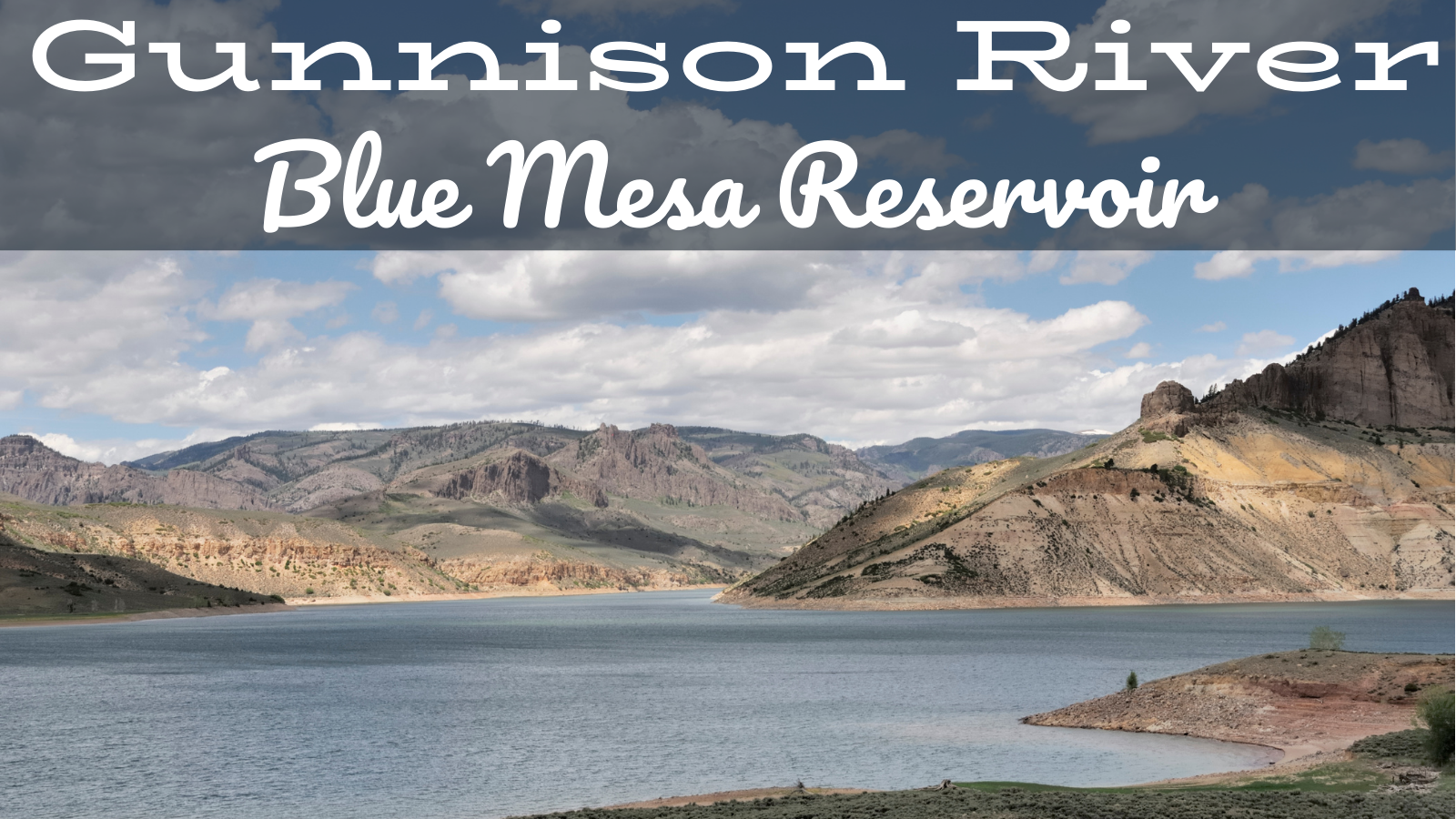 Gunnison River Fly Fishing Report Near Blue Mesa Reservoir