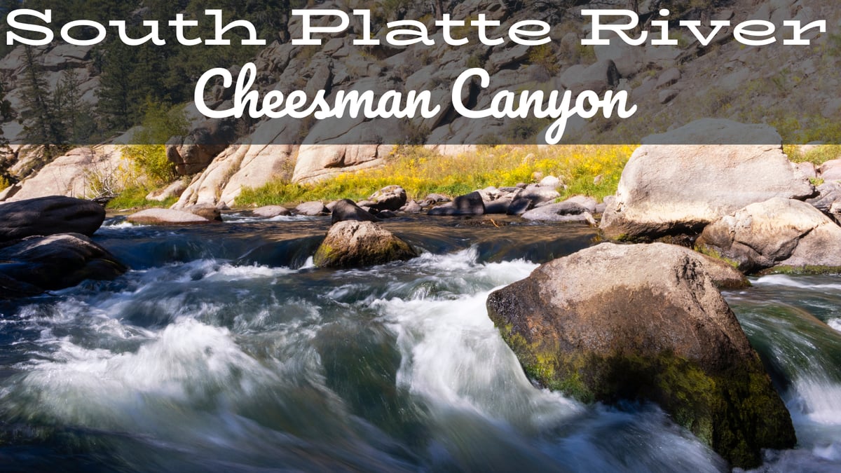 South Platte River Fly Fishing Report Cheesman Canyon-1