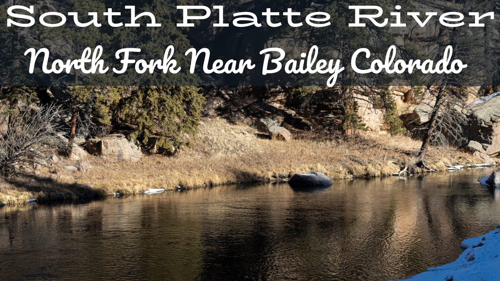 South Platte River Fly Fishing Report North Fork Near Bailer Colorado