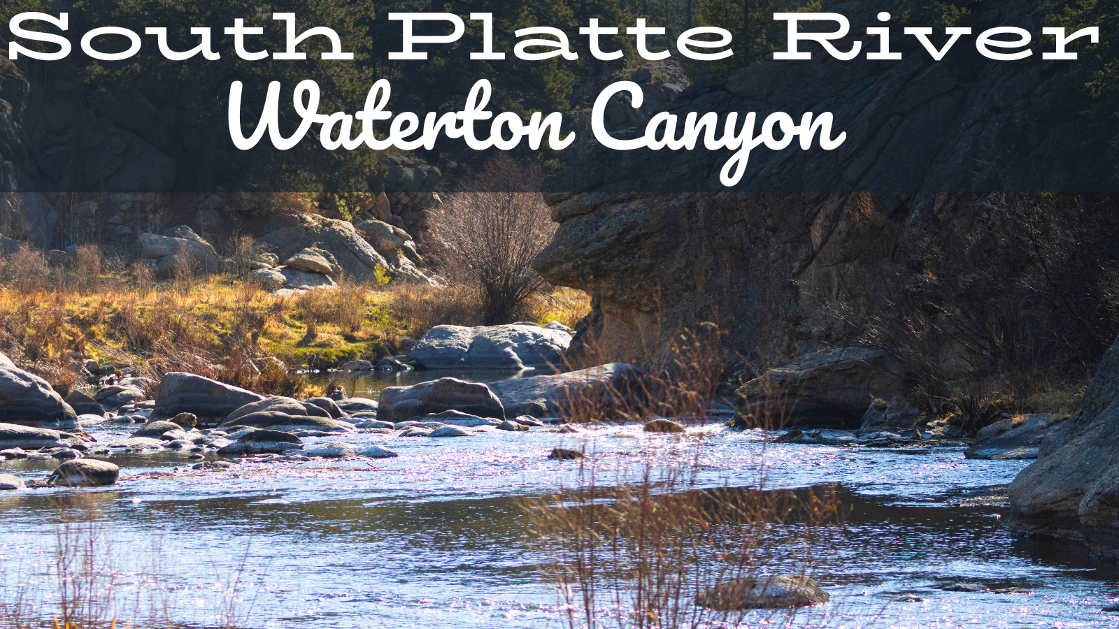 South Platte River Fly Fishing Report Waterton Canyon