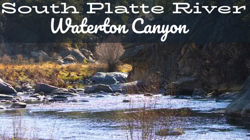 South Platte River Fly Fishing Report Waterton Canyon
