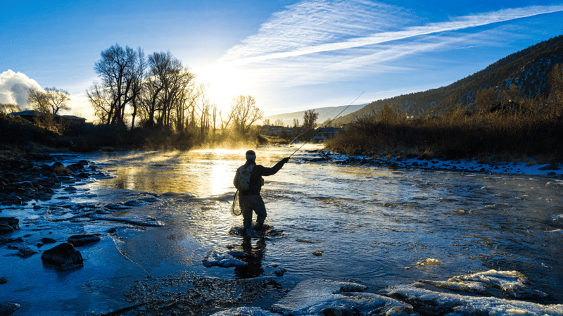 Anglers hands presenting a freshly caught trout, its sleek body reflecting the sunlight, with the backdrop of a serene Colorado waterway.