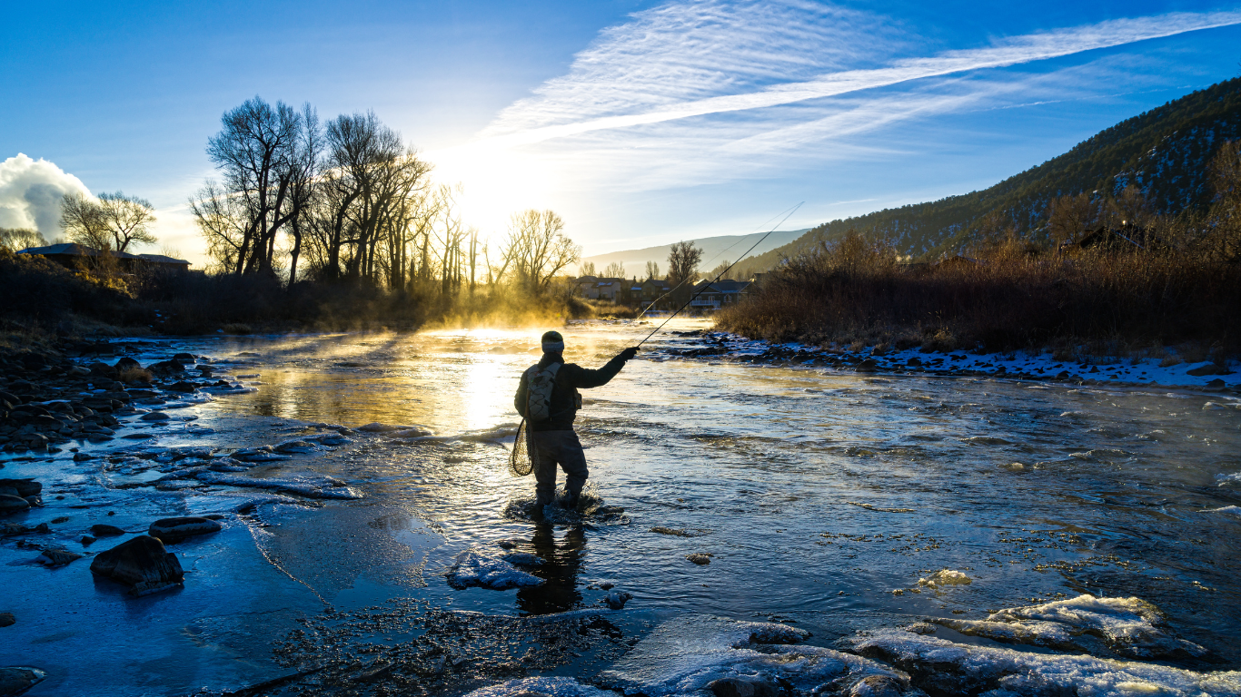 Anglers hands presenting a freshly caught trout, its sleek body reflecting the sunlight, with the backdrop of a serene Colorado waterway.