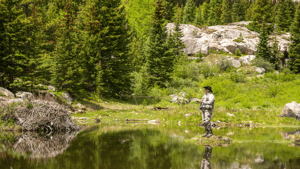 Fisherman carefully handling a feisty rainbow trout, its scales flashing in the midday sun.