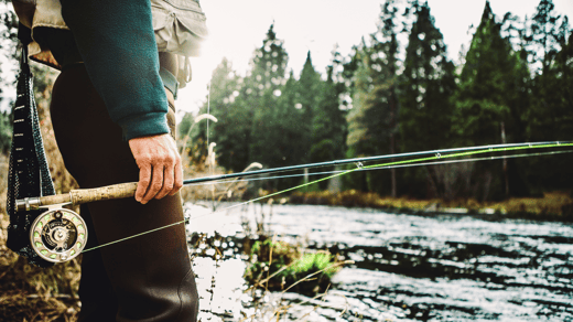 Habitat Restoration Projects: Efforts to restore and maintain healthy fish habitats