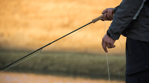 Urban Fly Fishing in Denver: Finding and Fishing Urban Waters