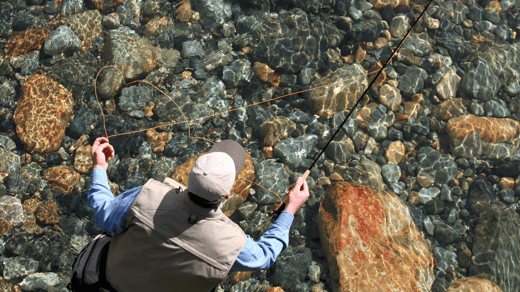 Navigating Freestone Rivers: Adapting to Changing Flows and Structures