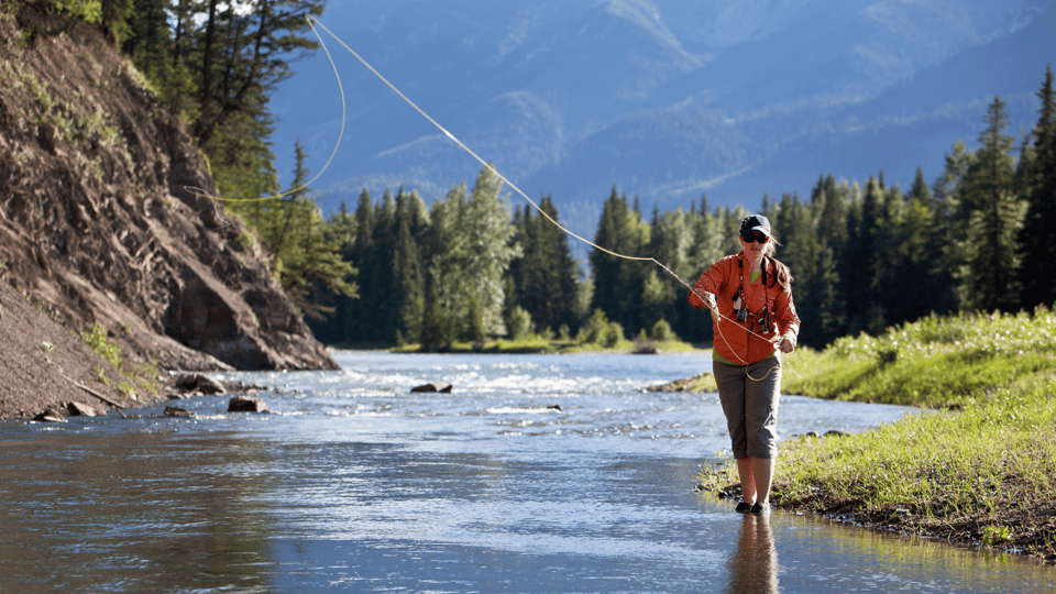 Basic Fly Casting Techniques: Step-by-step Instructions for New Anglers