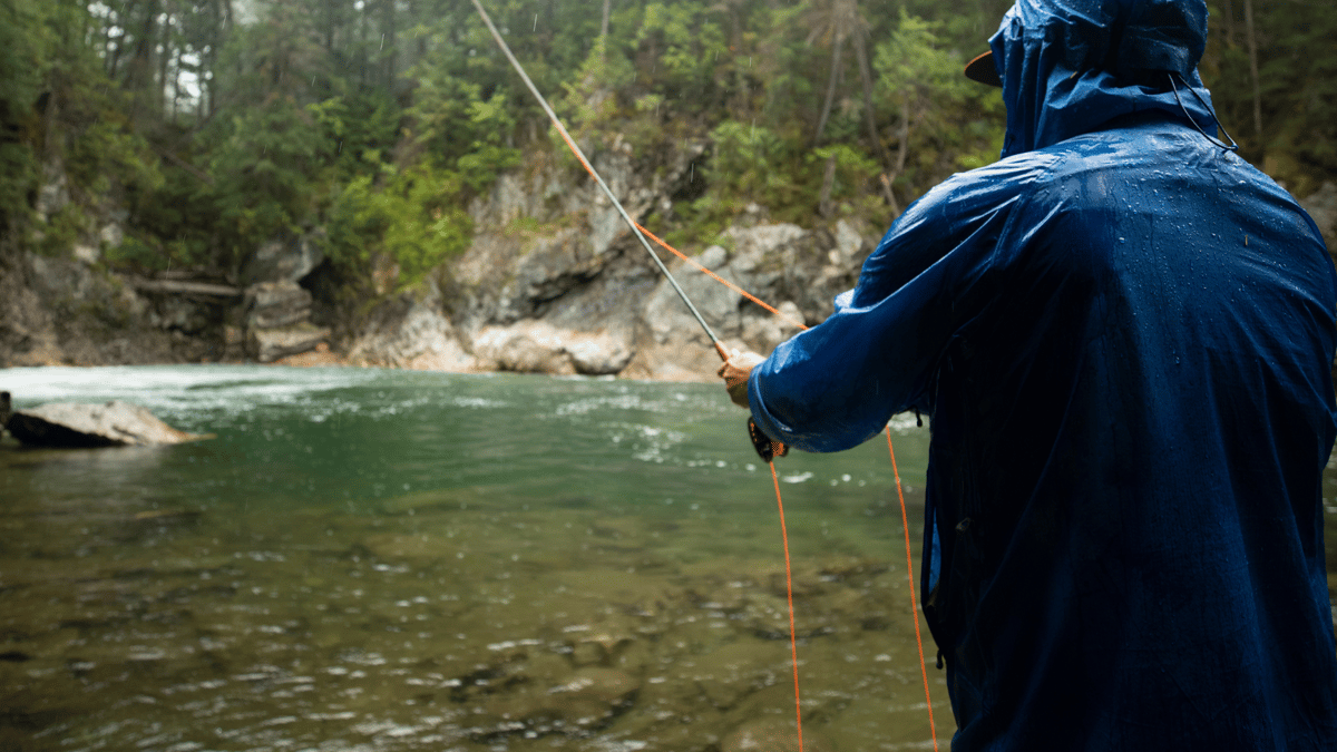 a colorado angler on the high alpline run off streams after reading a report from Rise Beyond Fly Fishing Co. 