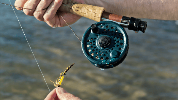 Untitled design (38)