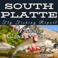 south platte river reports near waterton canyon colorado river conditions. 