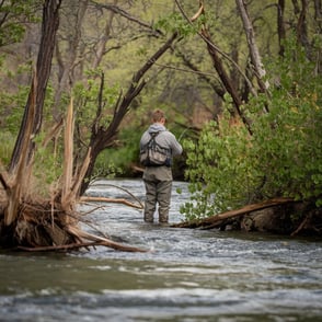 Rise Beyond Fishing Report: Bear Creek in Colorado