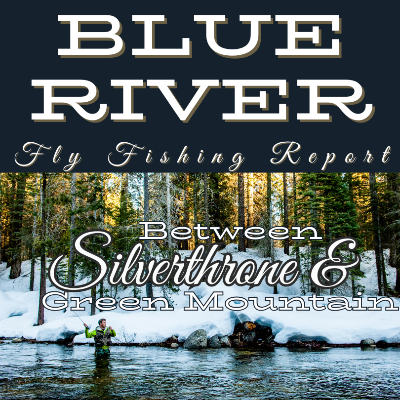 blue river between sliverthorne and green mountain resevior fly fishing report