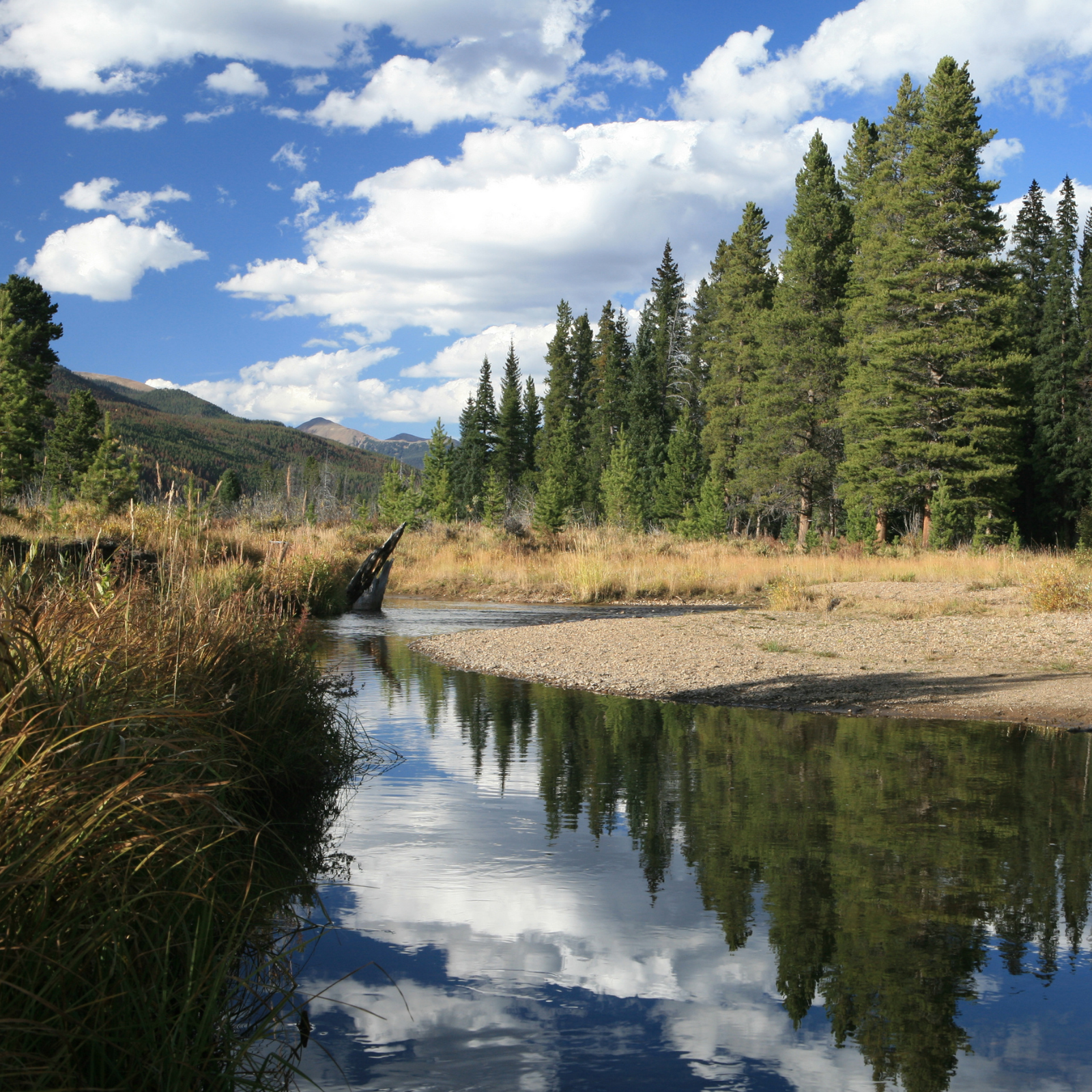 blue river near silverthorne colorado a fly fishing hot spot below green mountain reservoir