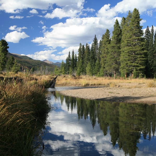 blue river near silverthorne colorado a fly fishing hot spot below green mountain reservoir