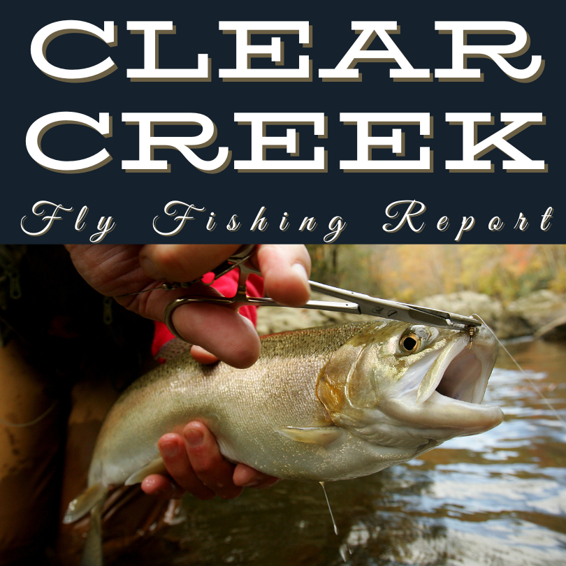 clear creek river fly fishing report