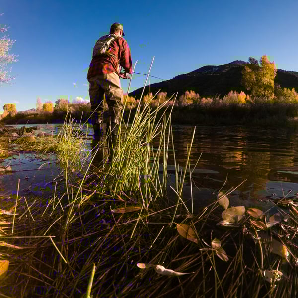 fall fly fishing on the roaring fork river near glenwood springs colorado fly fishing